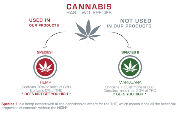 First Time Buyers Guide - Tru Infusion CBD