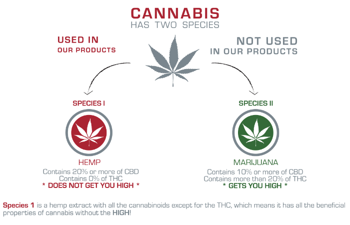 First Time Buyers Guide - Tru Infusion CBD